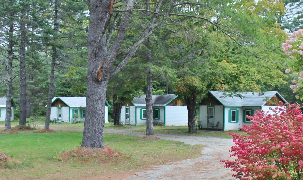 Pine Valley Cabins Thornton Номер фото