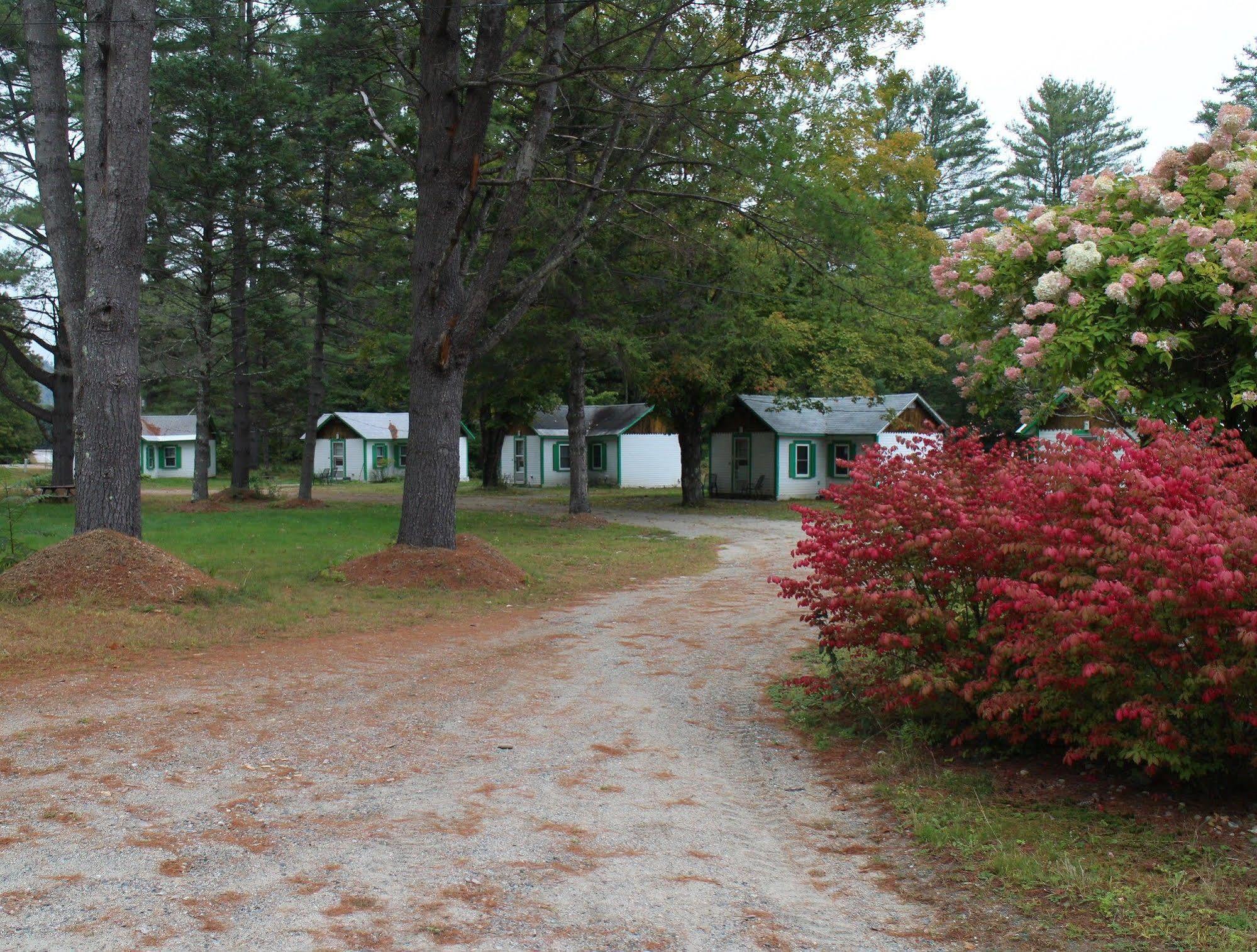 Pine Valley Cabins Thornton Экстерьер фото